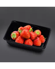 Caserole din PP, negre (EURO BOX)