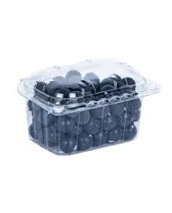 CASEROLE PENTRU FRUCTE SI LEGUME CU CAPAC ATASAT