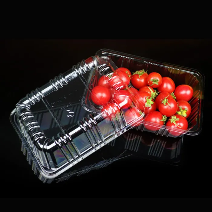 CASEROLE FRUCTE/LEGUME CU CAPAC SEPARAT