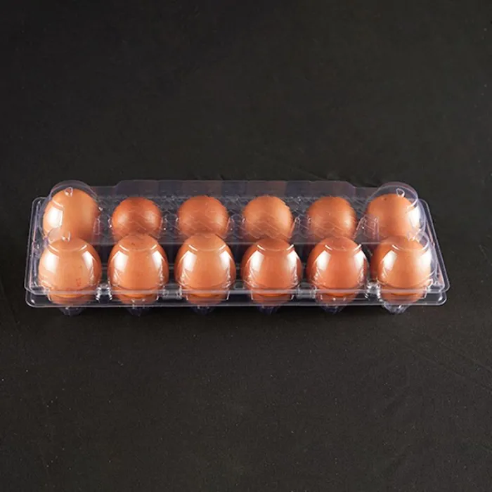 CASEROLE PLASTIC PENTRU OUA (100 BUC/SET)