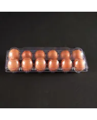 CASEROLE PLASTIC PENTRU OUA (100 BUC/SET)