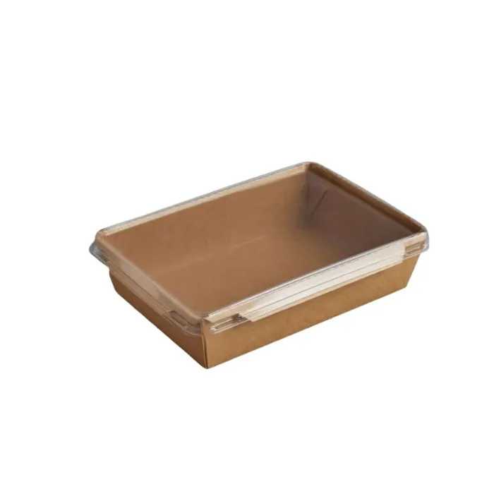 Caserole meniuri cu capac transparent – 100 buc/set