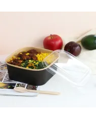 BOL SALATA PATRAT KRAFT NATUR-NEGRU(50buc/set)