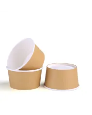BOL DIN CARTON NATUR PENTRU SUPA+CAPAC 460 ml (100buc/set)